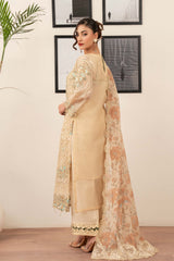 Motif Tilla and Sequence Schifilli Embroidered Suit