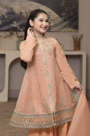 Motif Kids Embroidered Suit