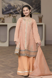 Motif Kids Embroidered Suit