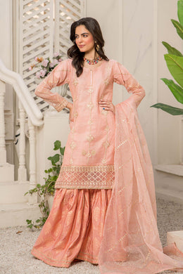 Motif Organza Embroidered Suit