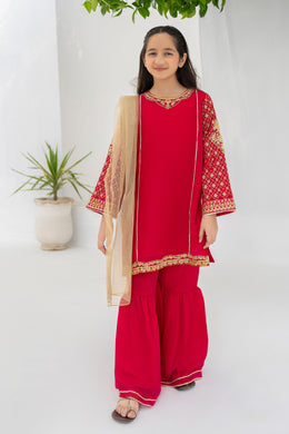 Motif Kids Embroidered Suit