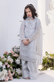 Motif Khaddi Net Embroidered Suit