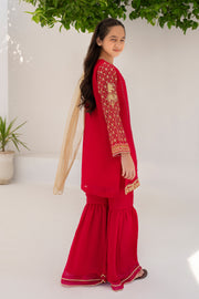 Motif Kids Embroidered Suit