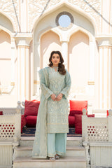 Motif Organza Embroidered Suit