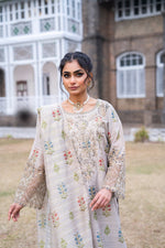 womens clothing