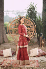 Motif Zari Jacquard Embroidered Suit