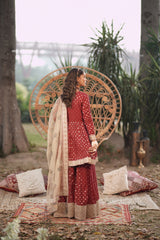 Motif Zari Jacquard Embroidered Suit