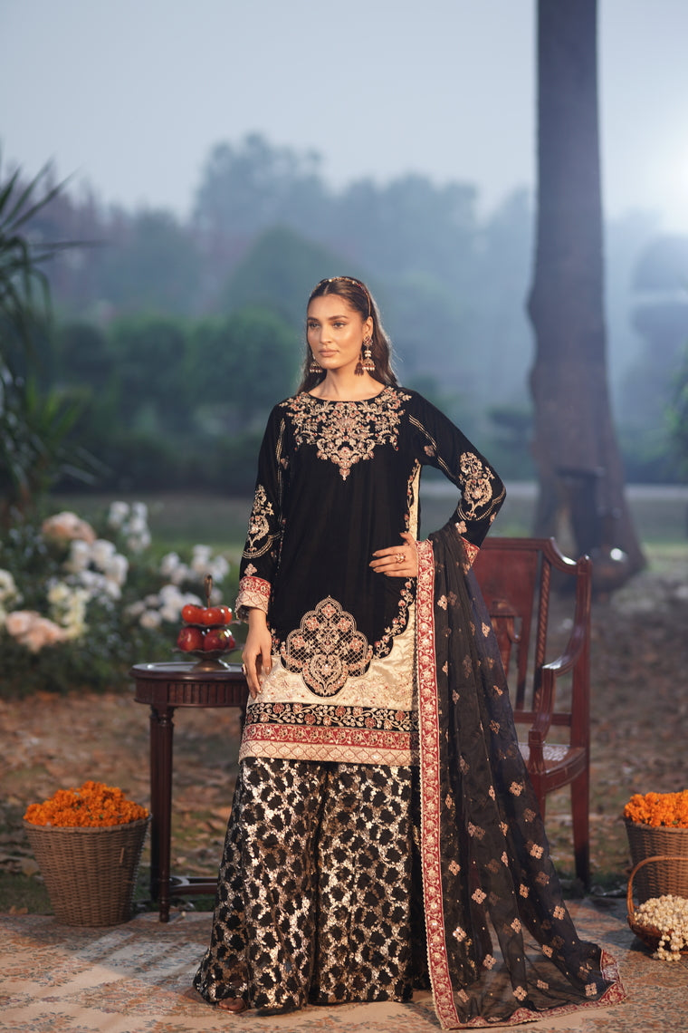 Motif Velvet embroidered Suit