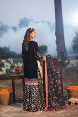 Motif Velvet embroidered Suit