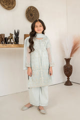 Motif Girls Khaddi Net Embroidered Suit