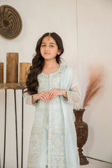 Motif Girls Khaddi Net Embroidered Suit