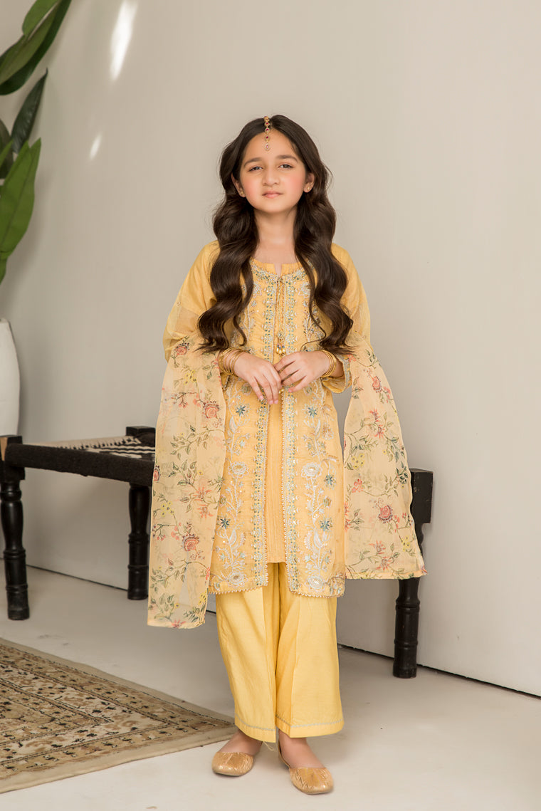 Motif Girls Khaddi Net Embroidered Suit