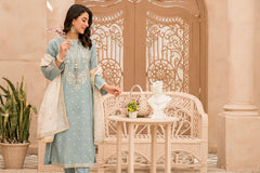 embroidered suit for women