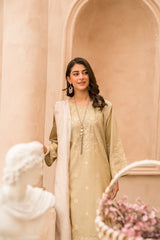 lawn embroidered suit