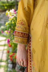 Motif Masoori Embroidered Suit