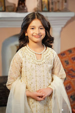 Motif Kids Embroidered Suit-611