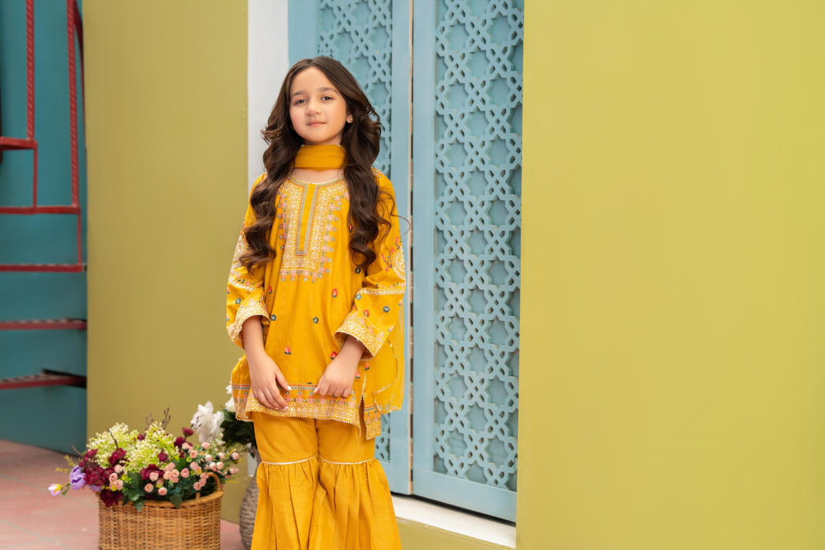 Motif Lawn Embroidered Suit-014