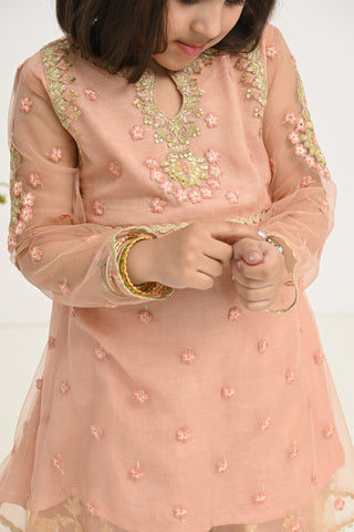Motif Net Embroidered Suit