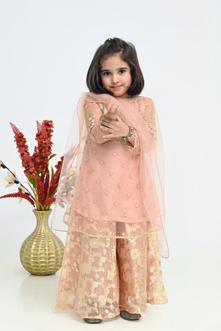 Motif Net Embroidered Suit