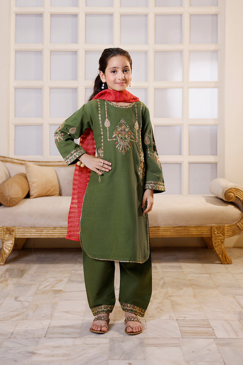 Girls Slub Embroidered Suit