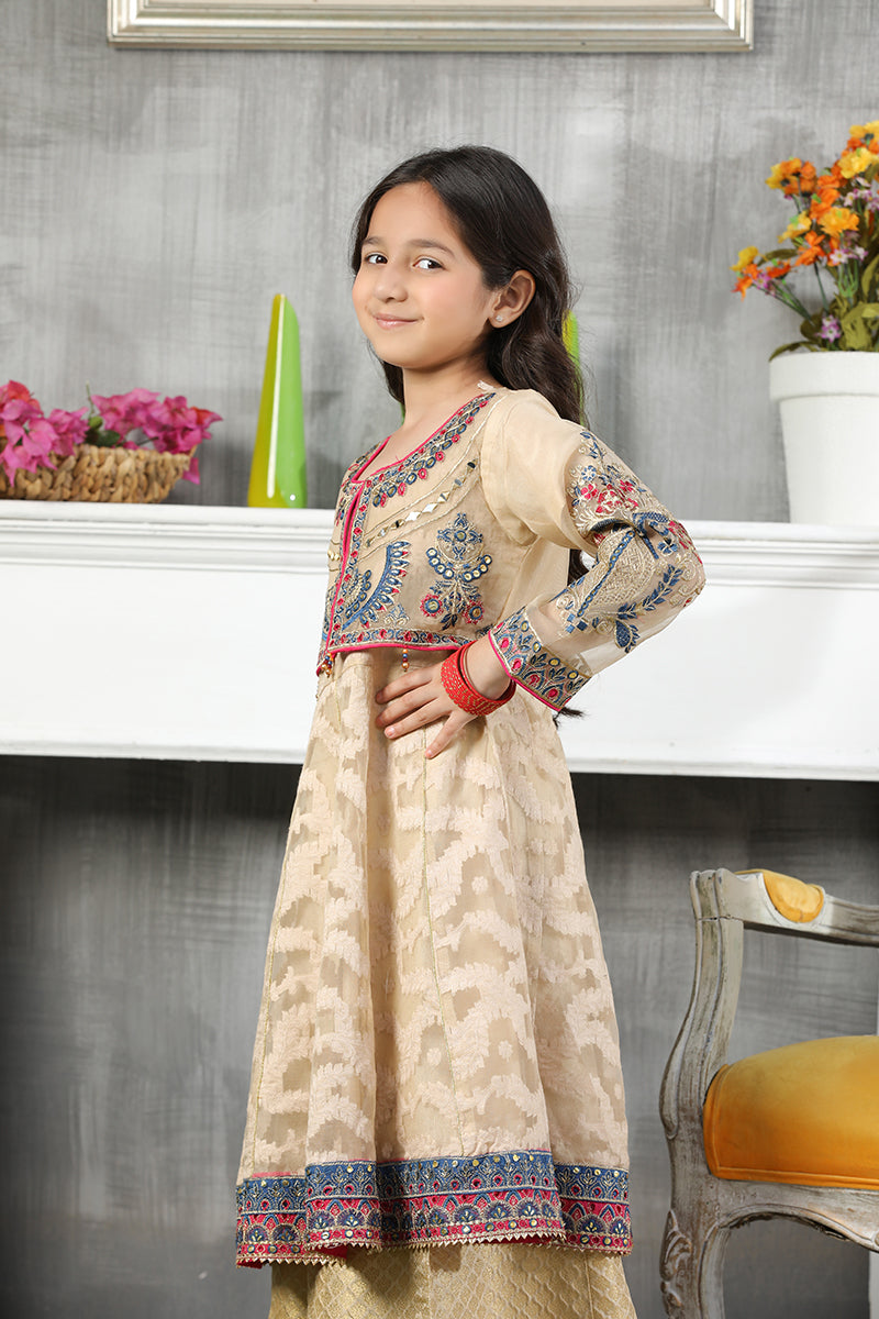 Girls Organza Embroidered Suit