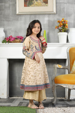 Girls Organza Embroidered Suit