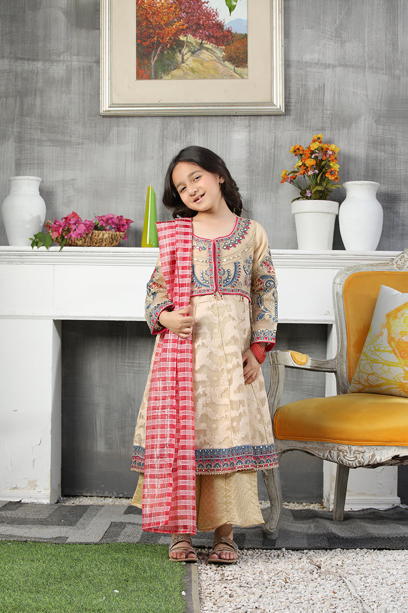 Girls Organza Embroidered Suit