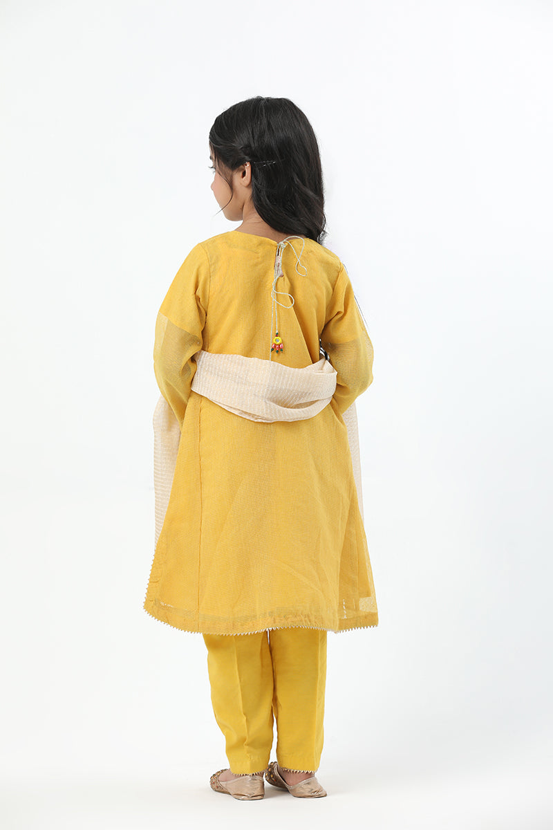 Motif Girls Khaddi Net Embroidered Suit