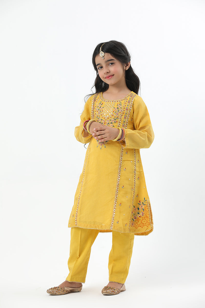 Motif Girls Khaddi Net Embroidered Suit