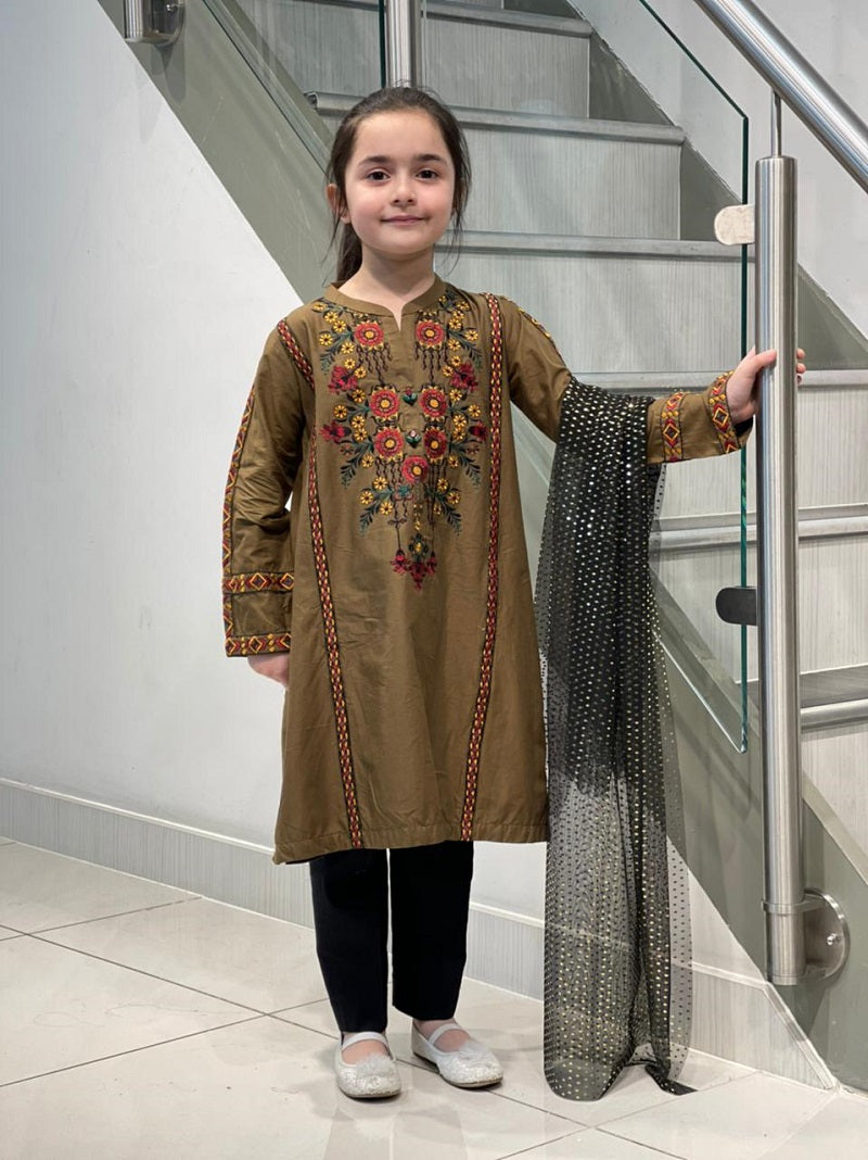 Girls Cambric Embroidered Suit